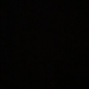 Meet your Posher, Cesar